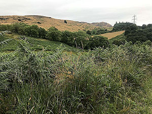 Cocksburn reservoir loop. View up towards Dumyat