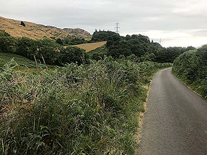 Cocksburn reservoir loop. Looking back down the small road towards the Logie Kirk