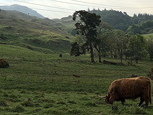 Cocksburn reservoir loop. Breakfast time for some