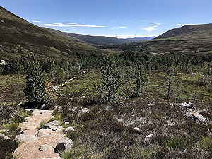 Lairig Grhu hill race. 