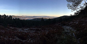 The Fungle. Image from The Fungle