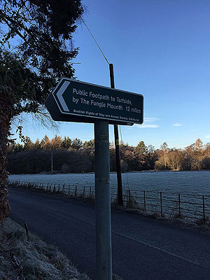 The Fungle. Image from The Fungle