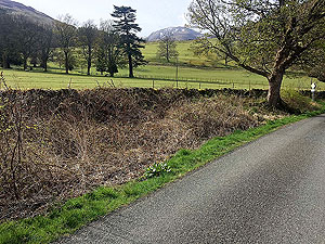 Strathyre and Loch Earn. Image from Strathyre and Loch Earn