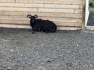 Strathyre and Loch Earn. 