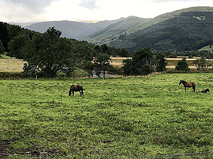 Strathyre and Loch Earn. Image from Strathyre and Loch Earn
