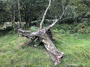 Strathyre and Loch Earn. 