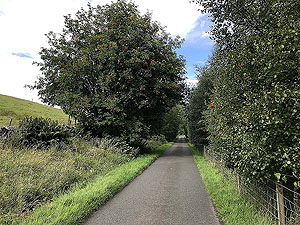 Strathyre and Loch Earn. 