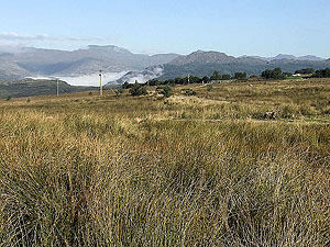 Glen Fruin to Loch Long. It as a beuatiful morning for us.