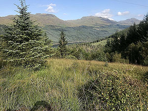 Glen Fruin to Loch Long. Looking up Loch Long.