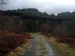Queen Elizabeth forest park. Image from Queen Elizabeth forest park