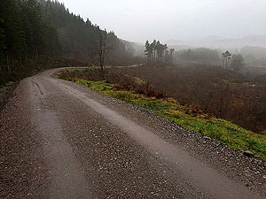 Queen Elizabeth forest park. Image from Queen Elizabeth forest park