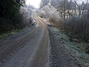Queen Elizabeth forest park. From here you head on the path to the right