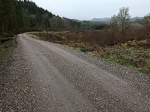 Queen Elizabeth forest park. Image from Queen Elizabeth forest park