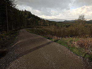 Queen Elizabeth forest park. Image from Queen Elizabeth forest park