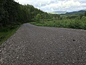 Queen Elizabeth forest park. Image from Queen Elizabeth forest park