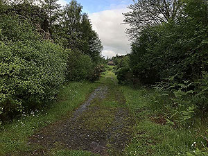 Queen Elizabeth forest park. 