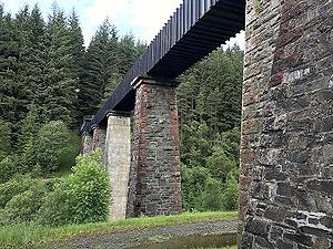 Queen Elizabeth forest park. Image from Queen Elizabeth forest park