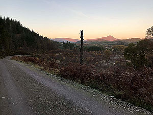 Queen Elizabeth forest park. Ben Venue in the distance