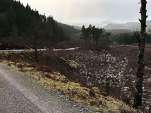 Queen Elizabeth forest park. Image from Queen Elizabeth forest park