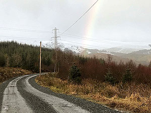 Queen Elizabeth forest park. 