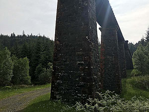 Queen Elizabeth forest park. Image from Queen Elizabeth forest park