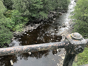 Queen Elizabeth forest park. Image from Queen Elizabeth forest park