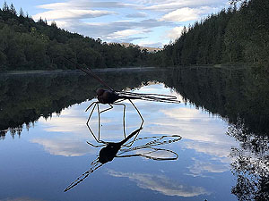 Loch Ard loop via Uamh Mhor. Image from Loch Ard loop via Uamh Mhor