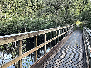 Loch Ard loop via Uamh Mhor. 
