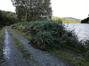 Loch Ard loop via Uamh Mhor. 