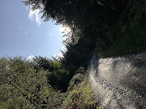 Loch Ard loop via Uamh Mhor. 