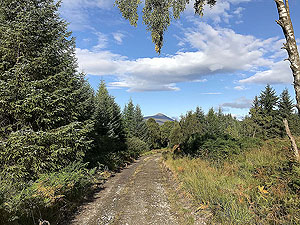 Loch Ard loop via Uamh Mhor. 