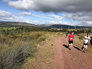 Hel N Back hill race. This up seems to go on forever