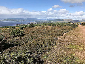 Hel N Back hill race. View down the Clyde towards Helensburgh