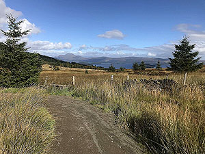 Hel N Back hill race. Ben Lomond in the background