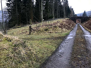 Glens Kendrum and Ogle. Go through the gate on the left and over the bridge