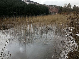 Glens Kendrum and Ogle. Very peiceful, if you ignore the noise from the nearby main road