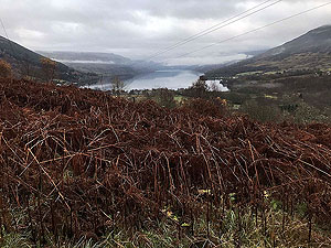 Glens Kendrum and Ogle. Lochearn