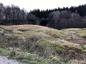 Glens Kendrum and Ogle. Cross this bridge travelling on the old railway line