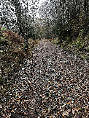 Glens Kendrum and Ogle. Autumn on the railway