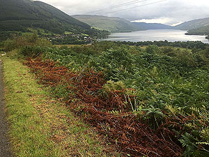 Glens Kendrum and Ogle. Lochearn