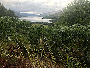 Glens Kendrum and Ogle. Lochearn