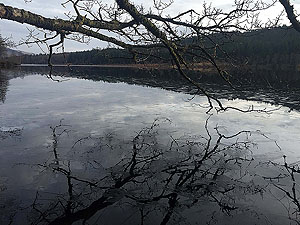 Aberfoyle to Loch Venachar. 