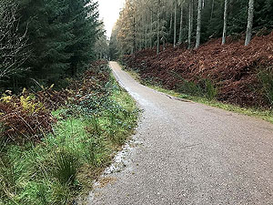 Aberfoyle to Loch Venachar. Start of the trees