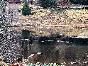 Aberfoyle to Loch Venachar. 