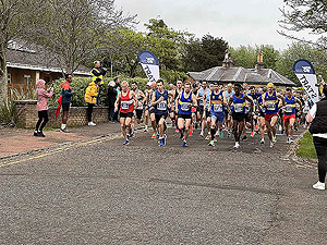 Gallus Running  : 528_sm_008.jpg