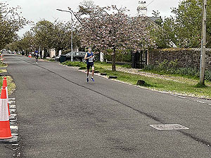 Gallus Running  : 528_sm_009.jpg