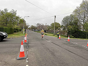 Gallus Running  : 528_sm_010.jpg