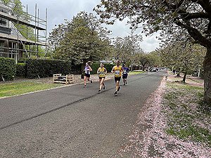 Gallus Running  : 528_sm_012.jpg