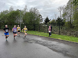 Gallus Running  : 528_sm_013.jpg