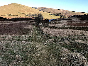 Glen Devon - Geordies wood. Image from Glen Devon - Geordies wood